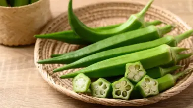 Benefícios do quiabo: 8 motivos para incluí-lo na dieta