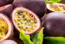 Maracujá: 7 benefícios da fruta para a saúde que vão além do efeito calmante