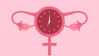 Menopausa precoce: 8 sintomas que podem indicar queda hormonal