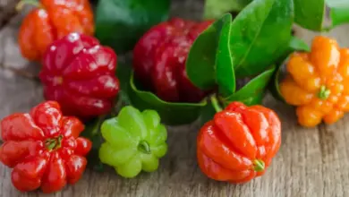 Pitanga: como cultivar em pequenos espaços e aproveitar seus benefícios para a saúde