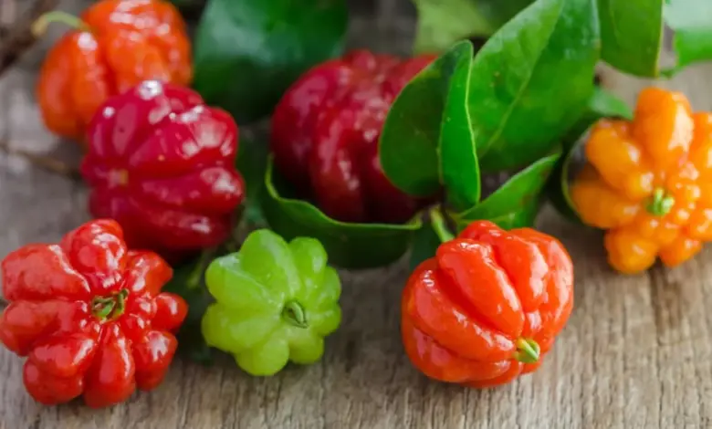 Pitanga: como cultivar em pequenos espaços e aproveitar seus benefícios para a saúde