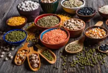 Quaresma: 4 proteínas vegetais para substituir a carne com facilidade