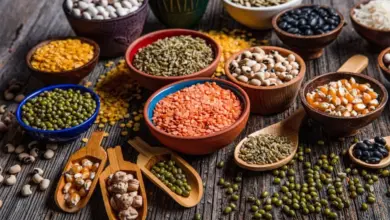 Quaresma: 4 proteínas vegetais para substituir a carne com facilidade