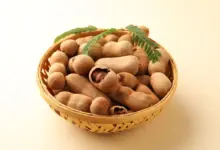 Tamarindo: 6 benefícios do fruto agridoce para a saúde