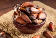 Benefícios do pinhão: veja 5 motivos para consumir e como aproveitar o alimento