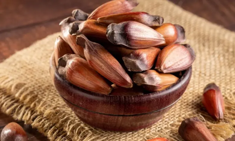 Benefícios do pinhão: veja 5 motivos para consumir e como aproveitar o alimento