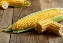 8 motivos para incluir o milho na alimentação