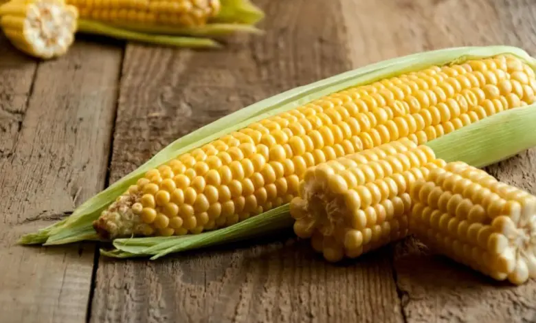 8 motivos para incluir o milho na alimentação