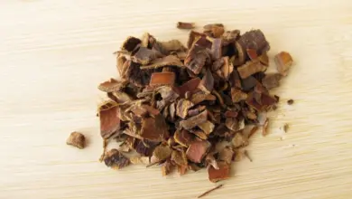 Cáscara-sagrada: para que serve, benefícios e como fazer o chá da planta