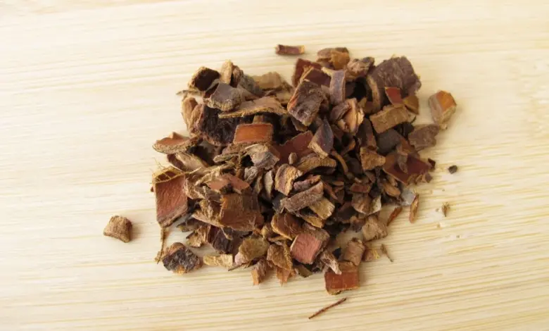 Cáscara-sagrada: para que serve, benefícios e como fazer o chá da planta