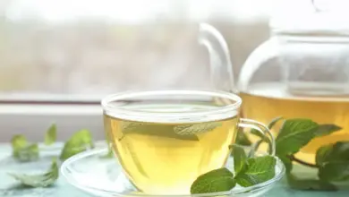 Chá de melissa: veja 8 benefícios para a saúde