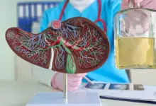 Entenda como o consumo excessivo e ocasional de álcool é um risco para o fígado