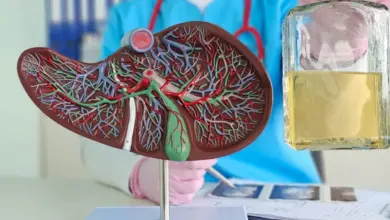 Entenda como o consumo excessivo e ocasional de álcool é um risco para o fígado