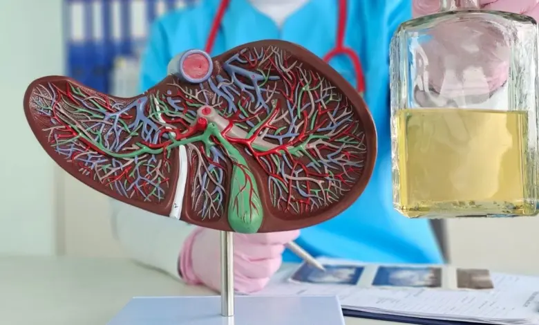 Entenda como o consumo excessivo e ocasional de álcool é um risco para o fígado