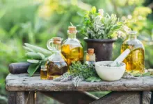 Menopausa: 6 plantas que contribuem para o bem-estar feminino