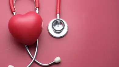 6 hábitos essenciais para proteger a saúde cardiovascular na menopausa