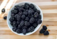 Rica em antioxidantes: conheça os benefícios da amora para a saúde
