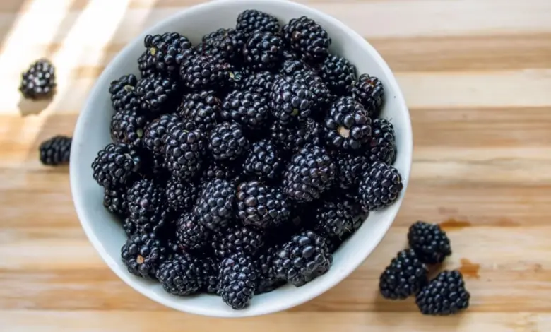 Rica em antioxidantes: conheça os benefícios da amora para a saúde