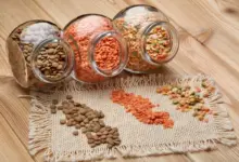 Sem carne no prato: 6 alimentos vegetais para aumentar a ingestão de proteínas
