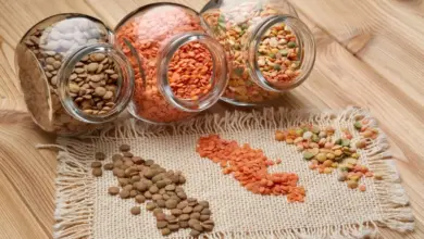 Sem carne no prato: 6 alimentos vegetais para aumentar a ingestão de proteínas
