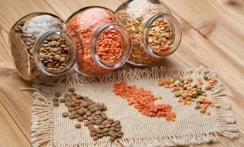 Sem carne no prato: 6 alimentos vegetais para aumentar a ingestão de proteínas