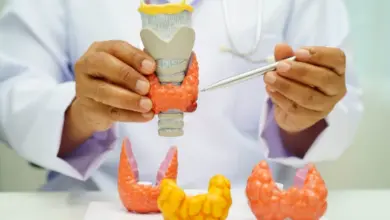 Dia Internacional da Tireoide: 6 curiosidades sobre a glândula