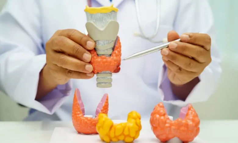 Dia Internacional da Tireoide: 6 curiosidades sobre a glândula