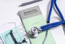 Hantavírus: veja as formas de transmissão e se há risco de pandemia