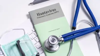 Hantavírus: veja as formas de transmissão e se há risco de pandemia
