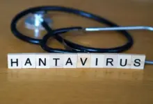 Hantavírus: infecção pode provocar impactos além do sistema respiratório