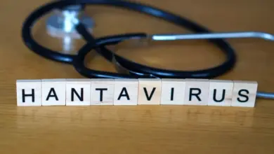 Hantavírus: infecção pode provocar impactos além do sistema respiratório