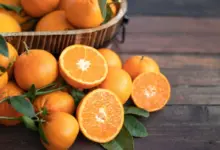 Laranja: 8 benefícios da fruta para a saúde