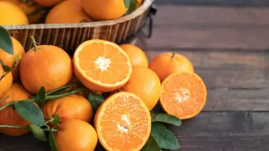 Laranja: 8 benefícios da fruta para a saúde