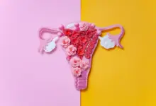 O Diabo Veste Prada 2 traz à tona debate sobre congelamento de óvulos e fertilidade feminina