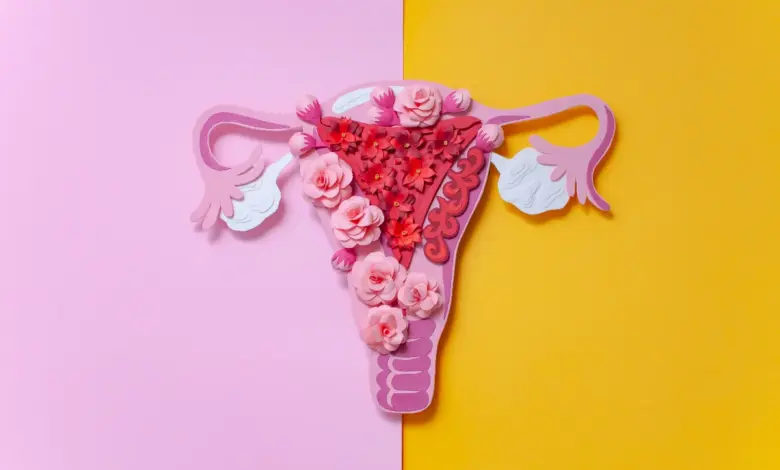 O Diabo Veste Prada 2 traz à tona debate sobre congelamento de óvulos e fertilidade feminina