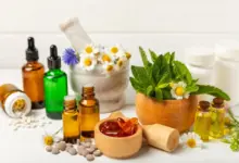 Plantas medicinais e fitoterápicos: veja os benefícios para a saúde