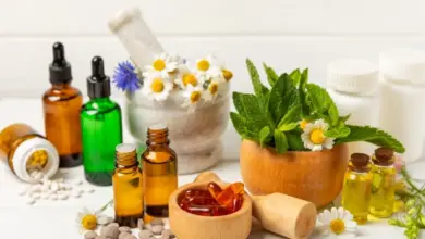 Plantas medicinais e fitoterápicos: veja os benefícios para a saúde
