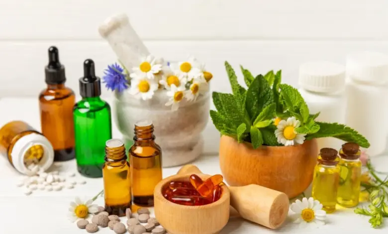 Plantas medicinais e fitoterápicos: veja os benefícios para a saúde