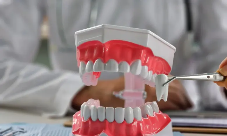 Presente em grande parte da população, o siso pode não encontrar espaço suficiente na arcada dentária e gerar complicações (Imagem: NMK-Studio