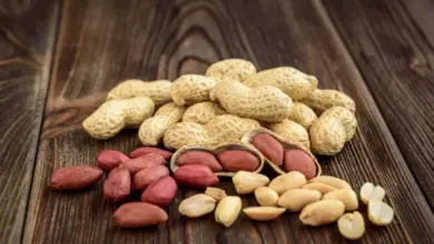 O amendoim possui propriedades nutricionais importantes para o corpo (Imagem: Natallia Ploskaya