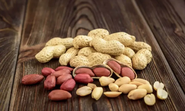 O amendoim possui propriedades nutricionais importantes para o corpo (Imagem: Natallia Ploskaya