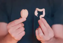 Conexão direta entre cérebro e intestino é capaz de influenciar a digestão, o trânsito intestinal e até a composição da microbiota (Imagem: Chizhevskaya Ekaterina