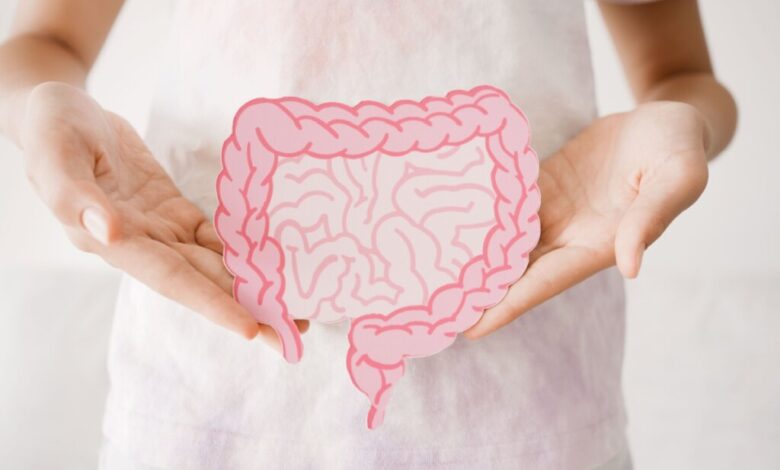 Imagem de uma pessoa com camiseta branca e com as mãos segurando a ilustração de um intestino humano