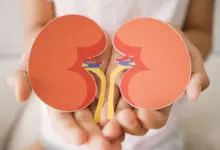 Embora relativamente comum, a infecção nos rins pode se tornar grave quando negligenciada (Imagem: SewCreamStudio