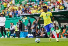 Benefícios nutricionais do abacaxi explicam preferência de Vinícius Júnior pela fruta (Imagem: Maciej Rogowski Photo