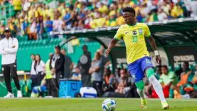 Benefícios nutricionais do abacaxi explicam preferência de Vinícius Júnior pela fruta (Imagem: Maciej Rogowski Photo