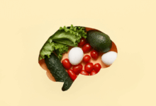 A nutrição é um dos pilares da saúde e do funcionamento cerebral (Imagem: Pixel-Shot