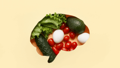 A nutrição é um dos pilares da saúde e do funcionamento cerebral (Imagem: Pixel-Shot