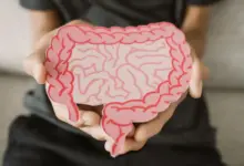 A disbiose é um desequilíbrio da microbiota intestinal, conjunto de trilhões de microrganismos que vivem naturalmente no intestino (Imagem: SewCreamStudio