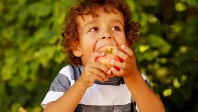 A percepção dos alimentos também é influenciada pela textura, pela aparência e até pelo som produzido durante a mastigação (Imagem: Kseniia Perminova